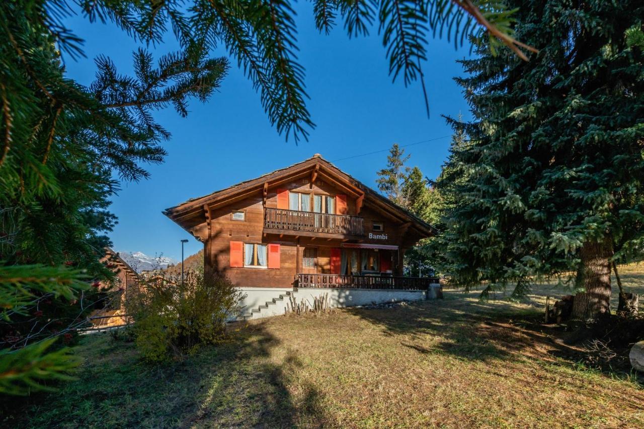 Chalet Bambi "Marchenhaft" Apartamento Grächen Exterior foto